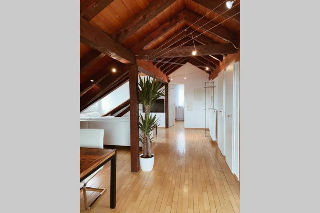 Apartment *dreilaendereck* Wifi+ Balkon+garage Basel Mulhouse