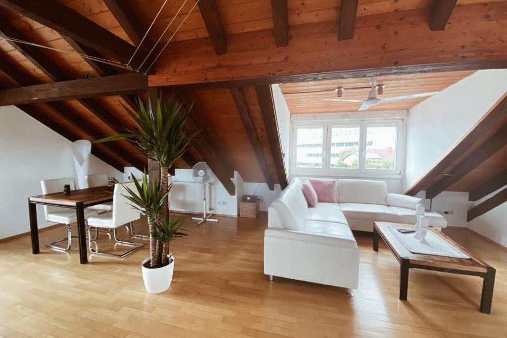 Apartment *dreilaendereck* Wifi+ Balkon+garage Basel Mulhouse