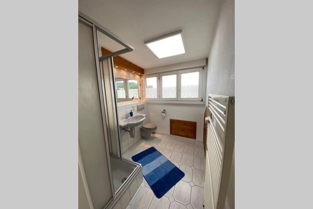 Apartment *dreilaendereck* Wifi+ Balkon+garage Basel Mulhouse